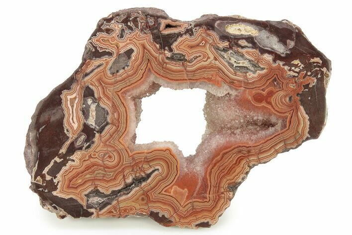 Colorful, Polished Dryhead Agate Slab - Montana #265491